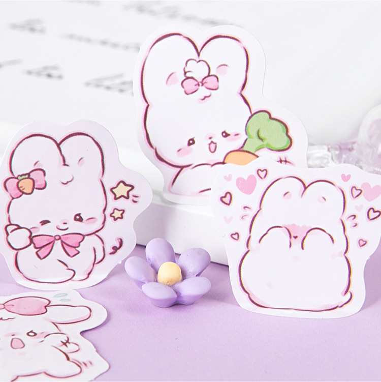 45 pcs/box Cute rabbit daily K - Planned Parenthood ulasan dan harga