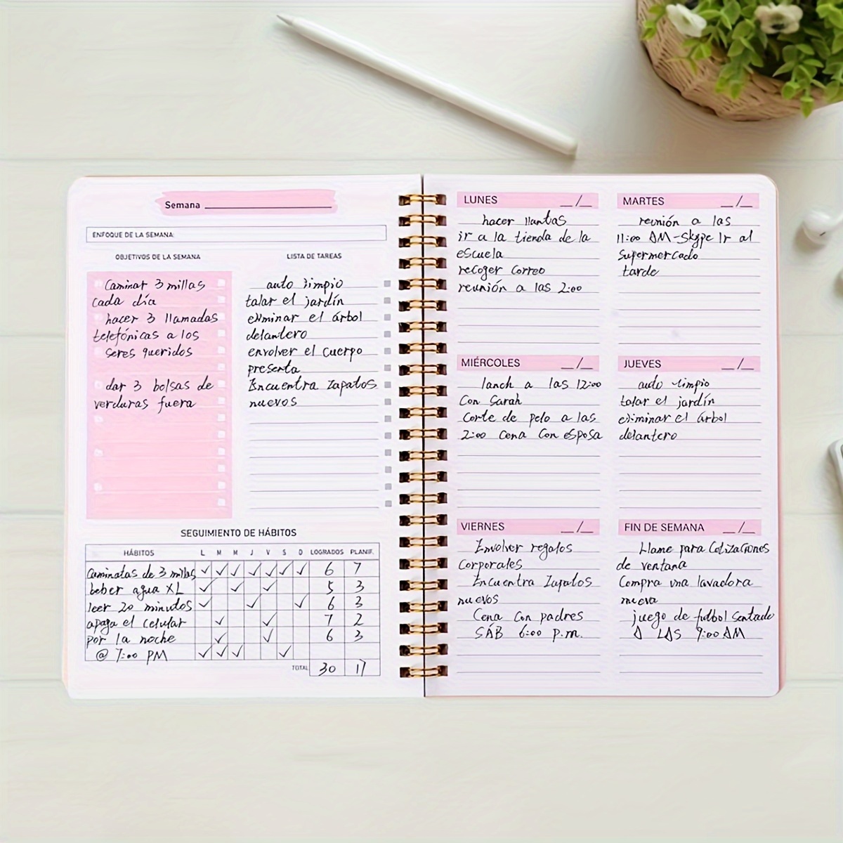52 Week English Weekly Planner - Planned Parenthood ulasan dan harga